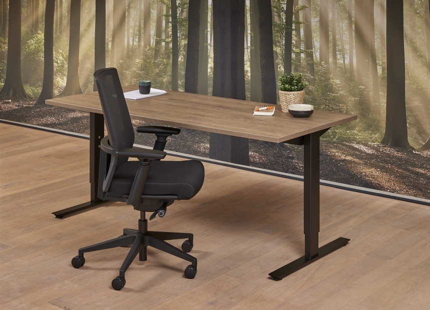 Ferbox Bureau Verstelbaar