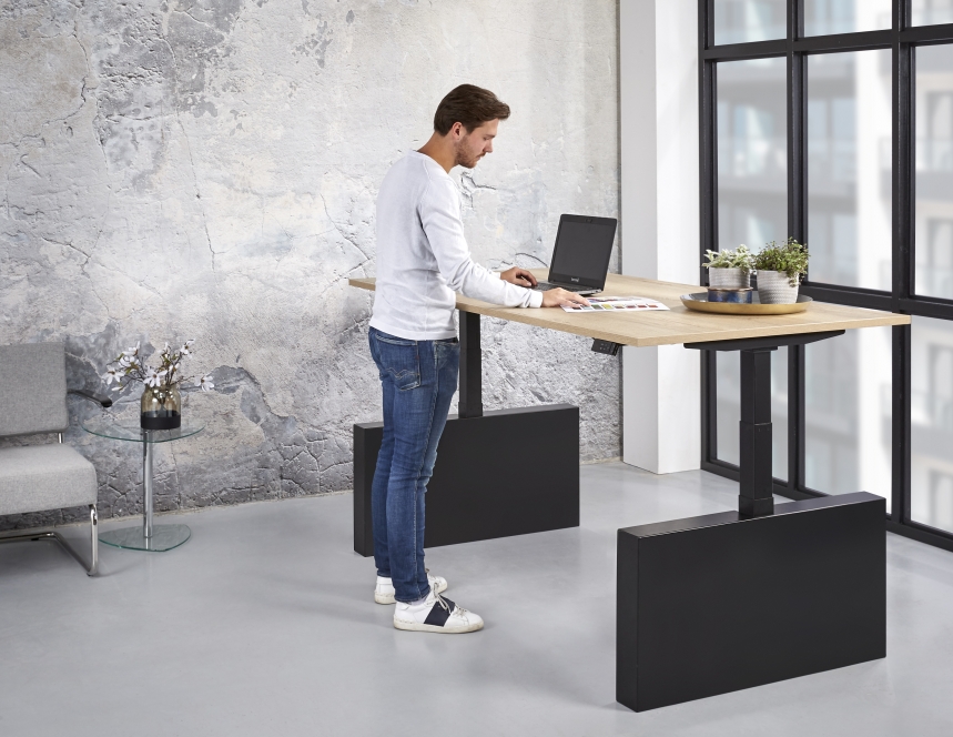 Ferbox Zit Sta Bureau Wang